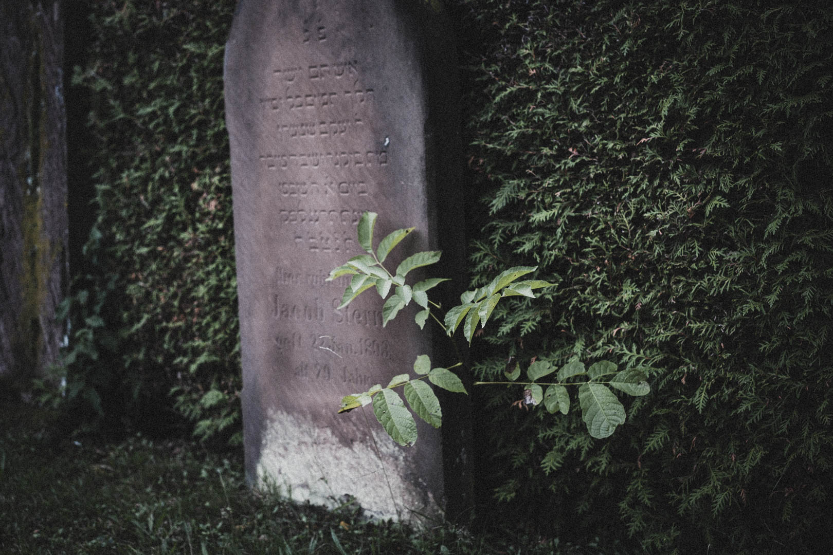 Wieseck, Jüdischer Friedhof
